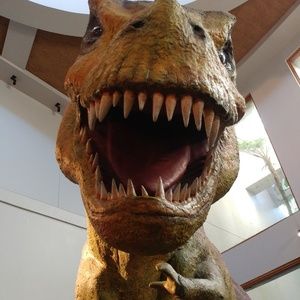 Meet your Posher, Gregg